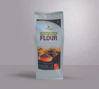 Khapli Wheat Flour